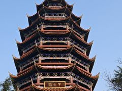 -铁山坪森林公园