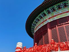 -黄贤森林公园