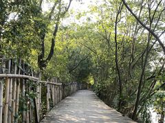 -贵阳市花溪国家城市湿地公园