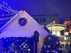 -上海外滩华尔道夫酒店