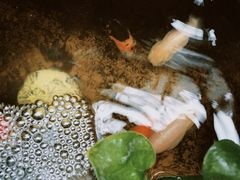 -森果咖啡(人民西路店)