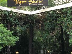 -清迈夜间动物园