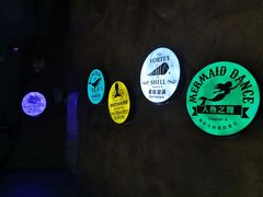 -贝壳梦幻世界