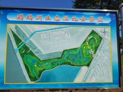 -鹦鹉洲湿地公园