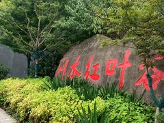 -大伊山景区