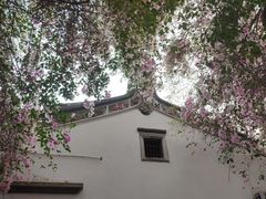 -深圳国际园林花卉博览园