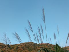 -东极岛景区