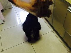 -走马楼饭庄(慈城古县城店)
