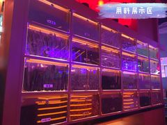 -鱼上·烤鱼(万象城店)