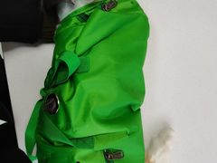 -康乐宝动物医院