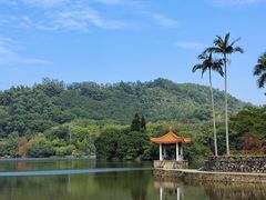 -深圳仙湖植物园