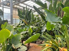 -沈阳植物园