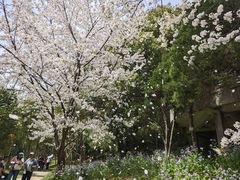 -苏州上方山国家森林公园
