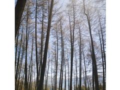 -硗碛藏寨·神木垒景区