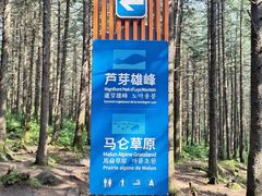 -芦芽山旅游度假区