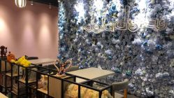 -doladola(徐家汇店)