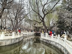 -桃花堤公园