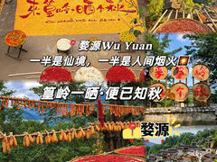 -篁岭景区