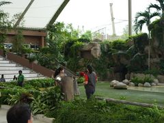 -新加坡飞禽公园