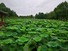 -云居湖