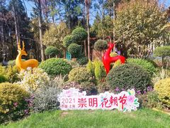 -东平国家森林公园