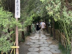 -洛阳白马寺