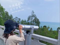 -广东惠东海龟国家级自然保护区