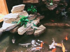 -鸥迪足道(湖南示范店)