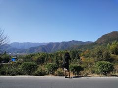 -塔川景区