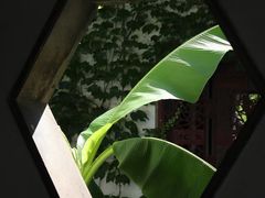 -成都杜甫草堂博物馆