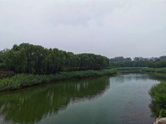 -大兴滨河森林公园