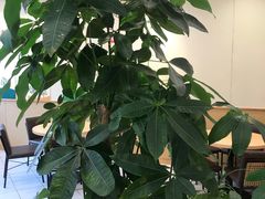 -德克士(宽甸店)