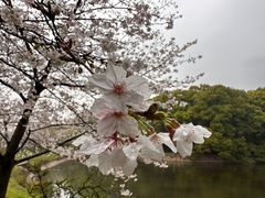 -东湖生态旅游风景区