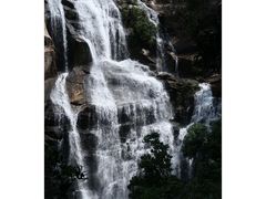 -海南热带雨林国家公园吊罗山景区