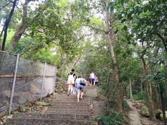 -紫金山山顶公园