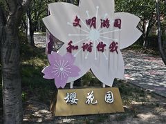 -高东镇樱花园
