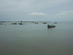 -北海金海湾红树林生态旅游区