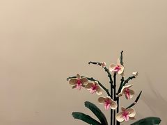 -Again Coffee Roaster(香蜜湖店)