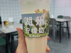 -猫的魔法密林(衣裳街店)