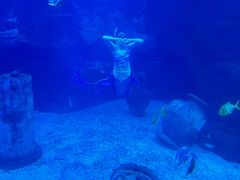 -太平洋海底世界