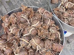 -盂城驿-南门大街