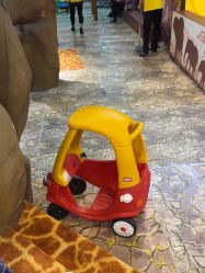 点击看大图 -卡通尼·Safari非洲探索乐园·生日会(金桥国际商业广场店)