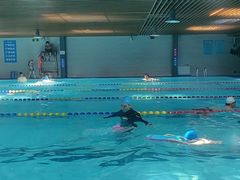 -小海豚国际游泳培训中心(浦东源深体育中心店)