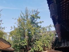 -古今茶语·峨眉山有机茶体验馆