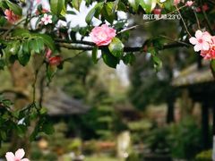 -都江堰景区