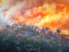 -罗红摄影艺术馆