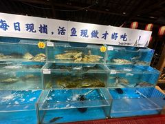 -胖姐渔村(中源大道店)