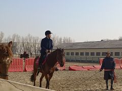 -北京群众马术培训基地