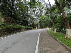 -火炉山森林公园