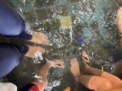-江门古兜温泉小镇